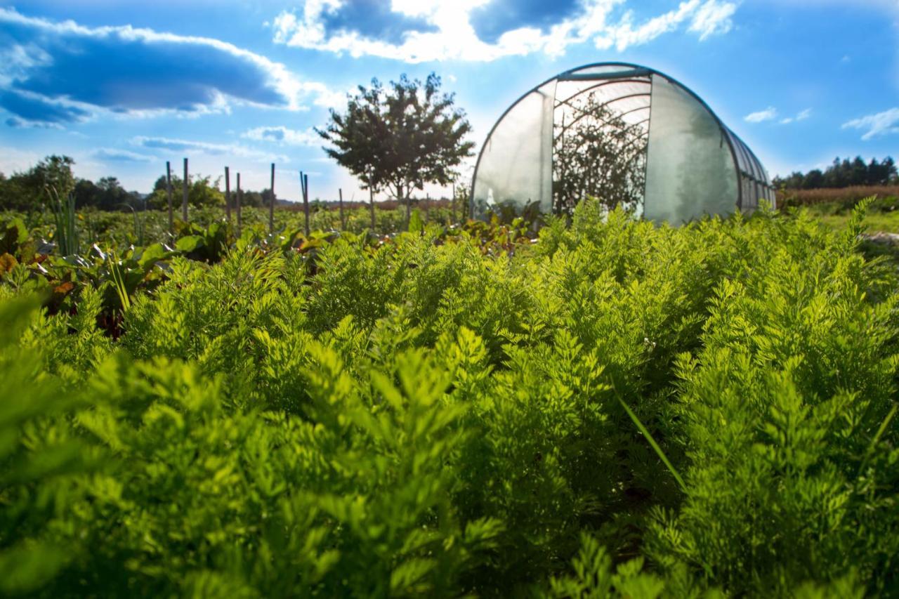Agroturystyka Sikorki Lubomierz  Esterno foto
