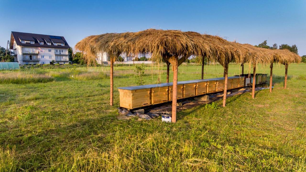 Agroturystyka Sikorki Lubomierz  Esterno foto